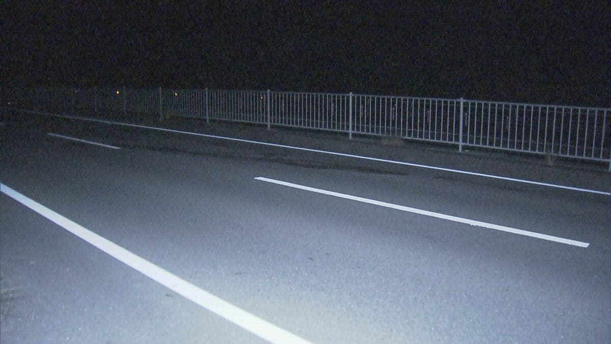 死んだ飼い犬を回収しようと… 道路上にいた男子大学生(22)がはねられ重体 岐阜・関市