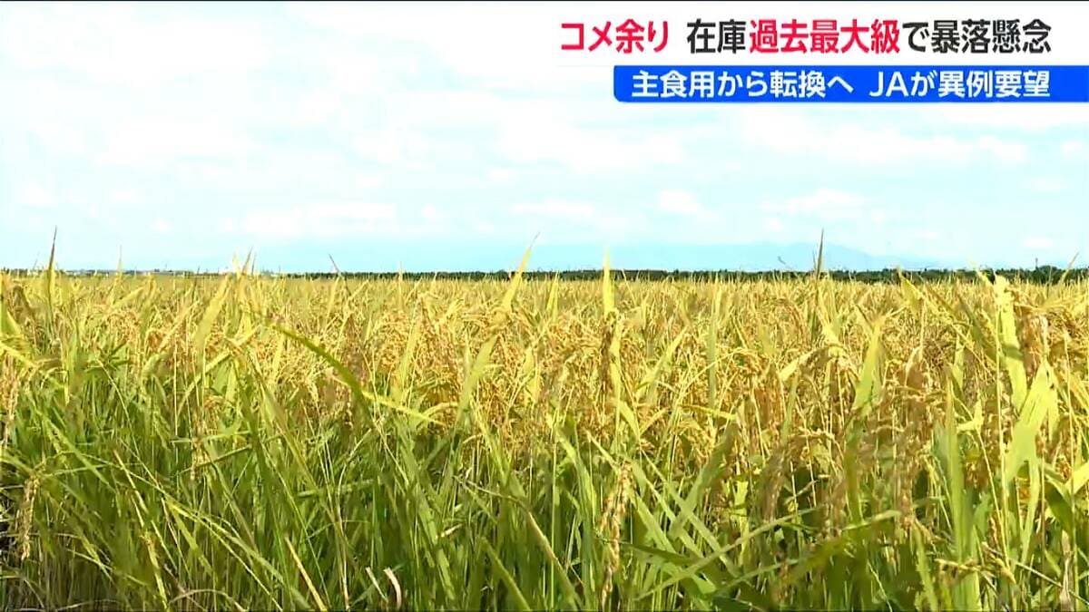 サムネイル_過去最大規模の“コメ余り” 「米の需要と価格が安定するよう」JA新潟中央会 伊藤能徳会長が加工用米などへの転換を訴え
