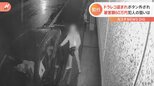 「ハンドル周りがすごい状態に」ドラレコとエンジンのボタン盗まれ…防犯カメラには不審な人物|TBS NEWS DIG