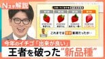 王者vs新品種「日本一おいしいイチゴ」は…　失敗しないおいしいイチゴの見分け方【Nスタ解説】|TBS NEWS DIG