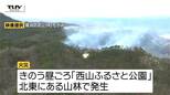 【現場動画】上山市の山林火災は鎮圧状態に 付近で野焼きか...山林およそ9ヘクタール焼ける(山形)|TBS NEWS DIG