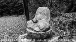 " 首なし地蔵 "の歴史をひも解く「夫の首を持ち帰り埋葬して自害」300年前の一揆を取材した書籍が静かなブーム「理不尽なことには声を出したい」編集者の思い【岡山】|TBS NEWS DIG