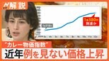 1食316円→377円に“カレー物価指数”最高値 白菜は値上げ続く見通し…キャベツ・お米どうなる?【Nスタ解説】|TBS NEWS DIG