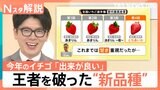 王者vs新品種「日本一おいしいイチゴ」は…　失敗しないおいしいイチゴの見分け方【Nスタ解説】|TBS NEWS DIG