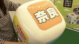 「行き先はサイコロ次第」JR西日本がサイコロ切符を販売 最大割引率約79% 旅先は運任せ【岡山】|TBS NEWS DIG