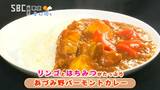 小4の双子兄妹が考案!信州「ご当地カレー」…その名もリンゴとはちみつ入りの「あづみ野バーモントカレー」 長野・安曇野市 | SBC NEWS | 長野のニュース | SBC信越放送