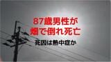 長崎市で87歳男性が畑で倒れ死亡 死因は熱中症か 2026年で長崎県内初の死者|TBS NEWS DIG