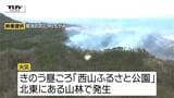 【現場動画】上山市の山林火災は鎮圧状態に　付近で野焼きか...山林およそ9ヘクタール焼ける（山形）|TBS NEWS DIG