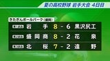 夏の高校野球岩手大会4日目|TBS NEWS DIG