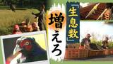 国鳥の「ニホンキジ」１５０羽を放鳥、自然界で繁殖することを期待　|　福岡のニュース｜RKB NEWS｜RKB毎日放送