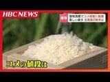 【コメ】新米流通でも価格が大きく下がる可能性低いと専門家「4200円も超していくような状況が出てくる可能性」 東北・北陸は渇水深刻化 | 北海道のニュース|HBC北海道放送