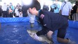 宮古市で養殖しているトラウトサーモンの魅力を発信 初開催のイベント賑わう 岩手|TBS NEWS DIG
