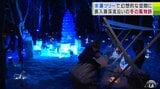「氷瀑」のクリスマスツリー光り輝く　高さ約3.5ｍのツリー　幻想的な“青い冬”のクリスマスイベント　青森県十和田市|TBS NEWS DIG