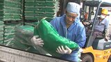 鳥インフルエンザの流行に備え 消毒用の消石灰を配布 137の養鶏農家が対象 大分 | 大分のニュース|OBS NEWS|大分放送