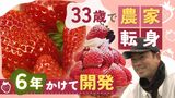 “幻のいちご”世界で唯一人の生産者 “「あまおう」に負けない”新ブランド「綾美姫」開発 | 福岡のニュース|RKB NEWS|RKB毎日放送