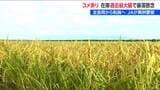 過去最大規模の“コメ余り”でJA新潟中央会 伊藤能徳会長「米の需要と価格が安定するよう」 加工用米などへの転換を訴え|TBS NEWS DIG
