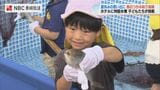 夏休みの子どもたちが魚のつかみ取りを体験 長崎市のホテル | 長崎のニュース | 天気 | NBC長崎放送