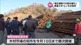 耳川流域のスギやヒノキが競りに 日向市東郷町で宮崎県産木材の初市|TBS NEWS DIG