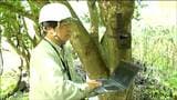 秋のクマ出没増加に備えAIカメラを40台増設へ 河川周辺を監視し迅速な注意喚起へ 仙台 | 宮城のニュース│tbc NEWS│tbc東北放送