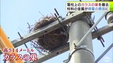 停電の原因となる電柱の「カラスの巣」撤去作業の様子が公開　電力会社は青森県内では年間2000個超を撤去|TBS NEWS DIG