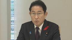 花粉症被害軽減へスギ伐採・植え替えの重点区域を今年度中に設定へ　政府関係閣僚会議で対策全体像まとまる| TBS CROSS DIG with Bloomberg