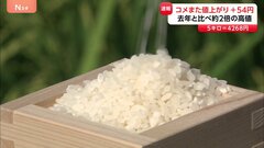 コメまた値上がり＋54円　5キロ4268円　前週値下がりに転じるも1週間で上昇| TBS CROSS DIG with Bloomberg