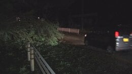 台風13号 沖縄本島地方が暴風域　東村で降水量200ミリ超　本島北部中心に約1万4000戸停電|TBS NEWS DIG