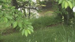 「ごめんね」自らの手でロープをかけ…アルコール性認知症の息子(当時55)に絶望し　殺人の罪に問われた母親（80）が法廷で語ったこととは|TBS NEWS DIG