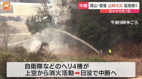 愛媛・今治市の山林火災 炎の勢いは収まらず周囲には煙が立ち込める 計1000世帯余りに避難指示|TBS NEWS DIG