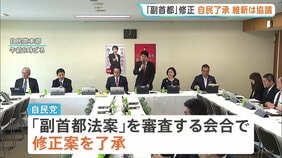「副首都構想」自民会合で修正案了承 “大阪都構想”念頭に住民投票めぐる規定削除など|TBS NEWS DIG