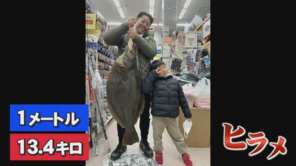 するめいか 半丸１３キロ 巨大ヒラメ」港内で釣れる 釣ったのは元広島カープ梵さんの兄 最大重量