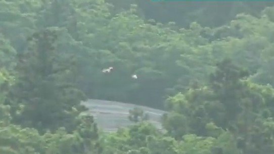 衰弱していた今年生まれの『野生トキ』を保護　新潟県佐渡市　|　新潟のニュース・天気｜BSN NEWS｜BSN新潟放送