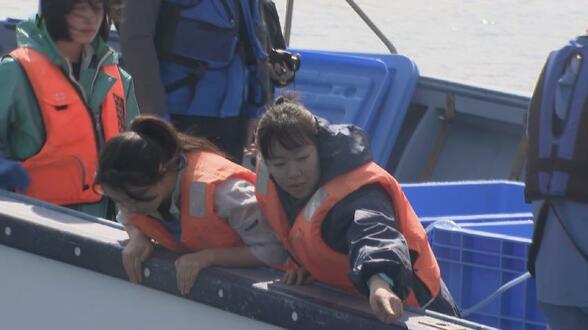 「この海への一番の恩返し」ノドグロ安定養殖の確立へ　近畿大と海洋高校が稚魚1500尾を放流　1年半かけ10センチに成長　生存率向上に期待　|　富山のニュース｜天気・防災｜チューリップテレビ