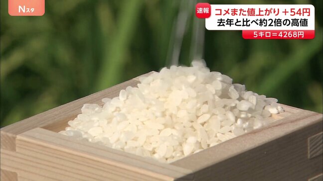 コメまた値上がり＋54円　5キロ4268円　前週値下がりに転じるも1週間で上昇|TBS NEWS DIG