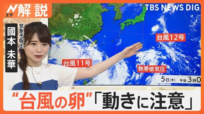 台風が続々と発生、予報士「台風11号と熱帯低気圧の間にある雲が、非常に怪しい動きをしそう」【Nスタ解説】|TBS NEWS DIG