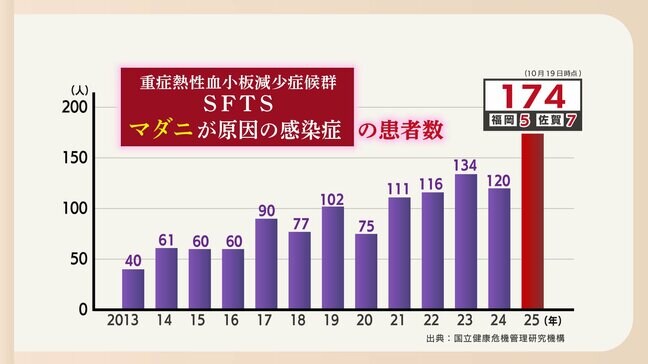 秋もマダニ感染症に注意！患者数は過去最多を更新　山の中、公園の芝生・・・野生動物が人の生活圏に運ぶおそれも　身を守るには”肌の露出を減らす”|TBS NEWS DIG