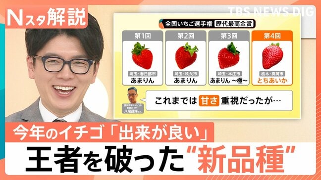 王者vs新品種「日本一おいしいイチゴ」は…　失敗しないおいしいイチゴの見分け方【Nスタ解説】|TBS NEWS DIG