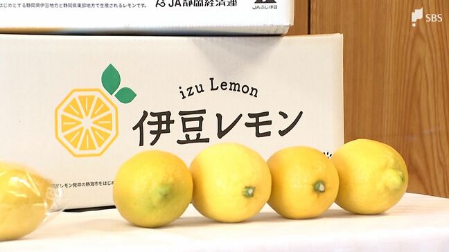 新ブランド「伊豆レモン」熱海でデビュー 酸味とコクの秘密は「魚のアラ」肥料 伊豆レモンサイダーも登場 ＝静岡|TBS NEWS DIG