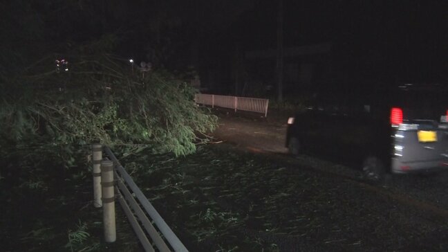台風13号 沖縄本島地方が暴風域 東村で降水量200ミリ超 本島北部中心に約1万4000戸停電|TBS NEWS DIG