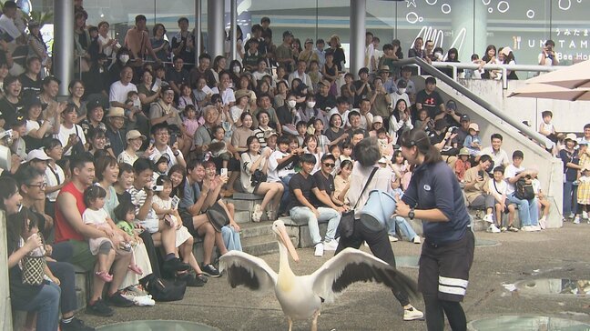 「大分で思い出を作りたい」　３連休で各地の行楽地は賑わう　うみたまごでは子どもたちの歓声が　大分|TBS NEWS DIG