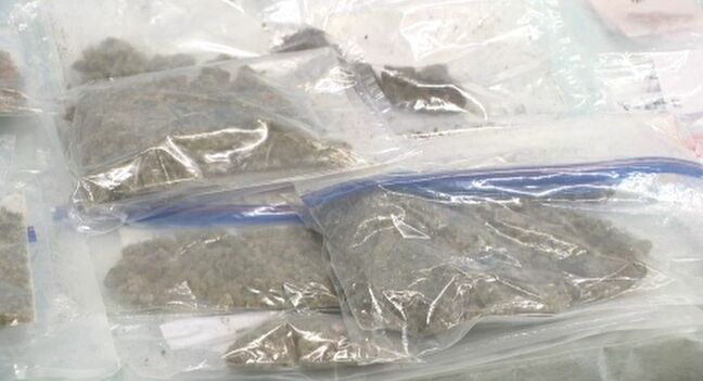 「SNS広告と秘匿性の高いアプリを利用」金沢拠点の大麻密売組織を摘発 17人逮捕 過去2番目の押収量|TBS NEWS DIG