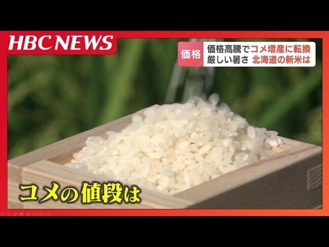 【コメ】新米流通でも価格が大きく下がる可能性低いと専門家「4200円も超していくような状況が出てくる可能性」 東北・北陸は渇水深刻化|TBS NEWS DIG