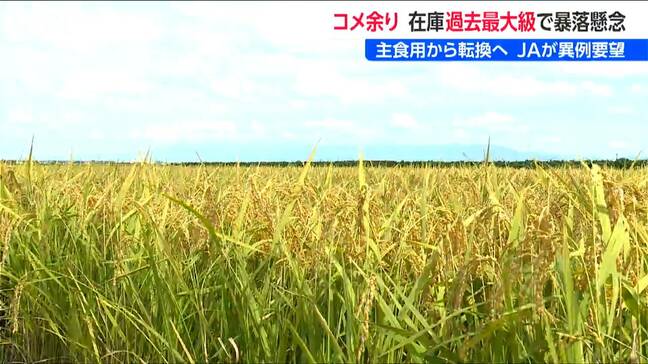過去最大規模の“コメ余り”でJA新潟中央会 伊藤能徳会長「米の需要と価格が安定するよう」 加工用米などへの転換を訴え|TBS NEWS DIG