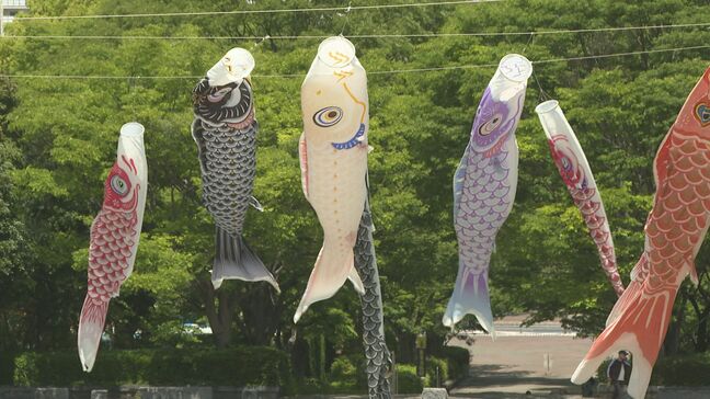 「きれいでかわいい!」約3万8000本のツツジとこいのぼりの共演|TBS NEWS DIG