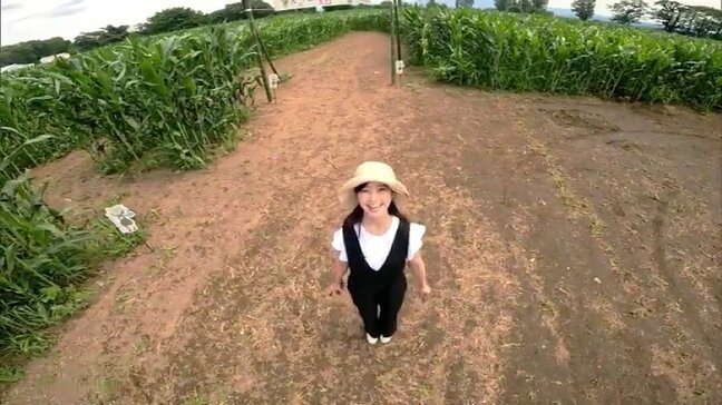 上から見ると、あのキャラが…今年も完成!東北最大級の「トウモロコシ迷路」鏡石町の岩瀬牧場 福島|TBS NEWS DIG