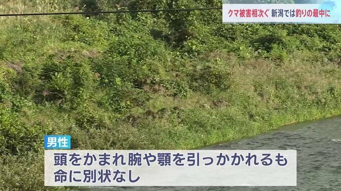 クマが釣り人の頭をかむ「歩いていたら茂みから突然クマが…」けがの男性（70代）がクマを押し返す 新潟・南魚沼市|TBS NEWS DIG