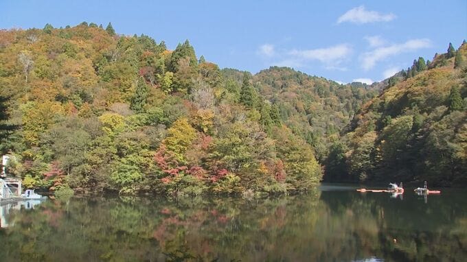 【紅葉情報】水面にも自然が織りなす美しい景色…渓谷の木立を縫うように分け入る三滝ダム　鳥取県智頭町|TBS NEWS DIG