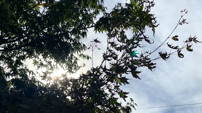 【熱中症警戒アラート】高知県に2023年初の発表　十分な暑さ対策を|TBS NEWS DIG