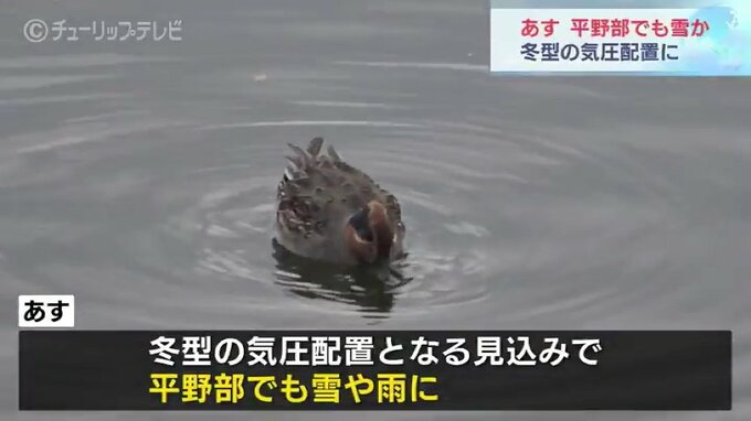 平野部でも雪に 気温は10度以上低く体調管理に注意　|　富山のニュース｜天気・防災｜チューリップテレビ