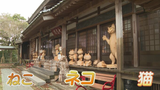読経で「ミニ・チビ・クロ」??ネコ912匹の名前読み上げ般若心経で健康祈願「ネコが幸せだと、人間も幸せ」 2月22日猫の日にちなんで　山口・萩 雲林寺|TBS NEWS DIG